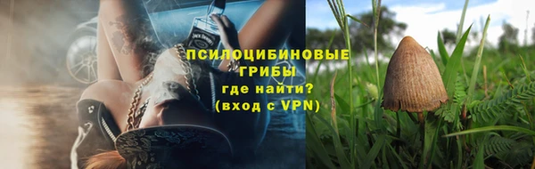 шишки Алексин