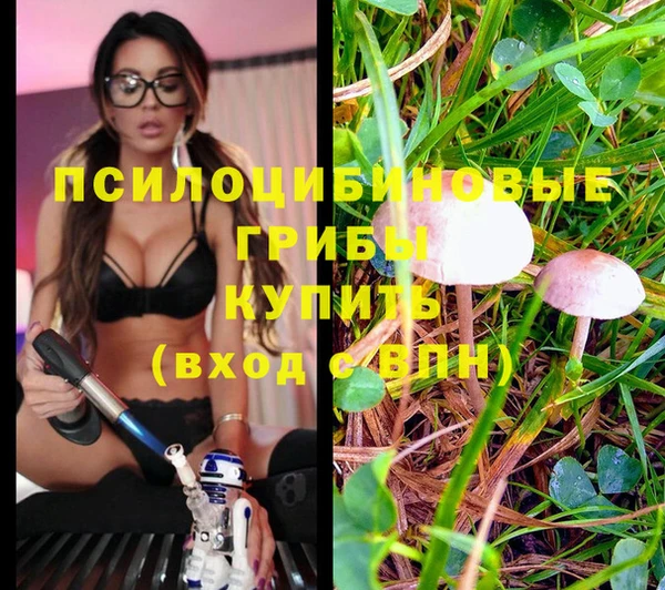 jwh Алзамай