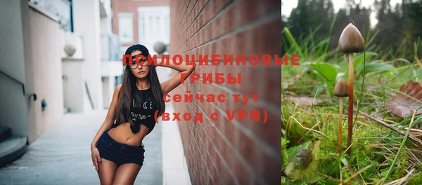 шишки Алексин